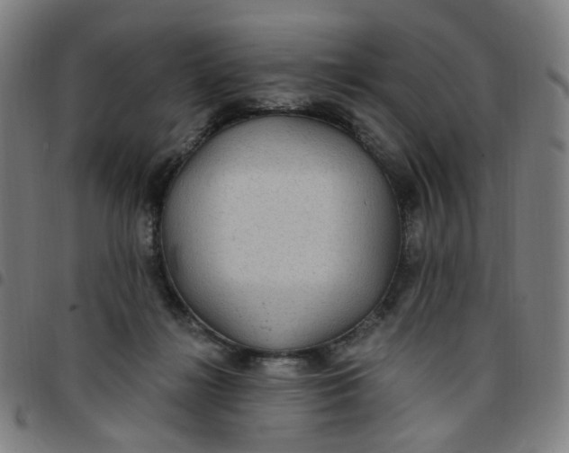 X0000097510268200803071831