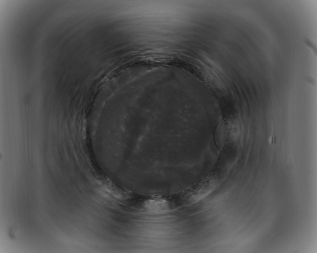 X0000097510271200803071831