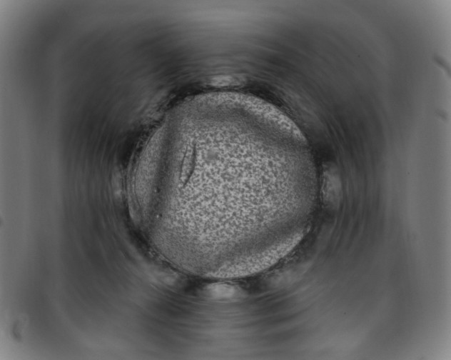 X0000097510272200803071831