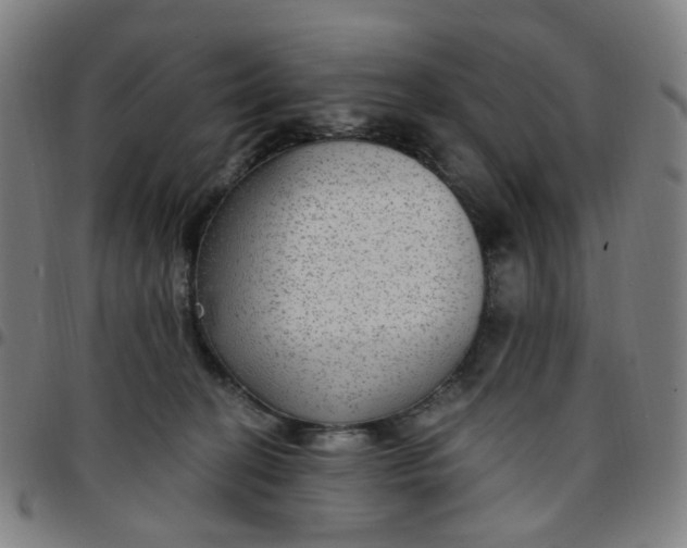 X0000097510274200803071831