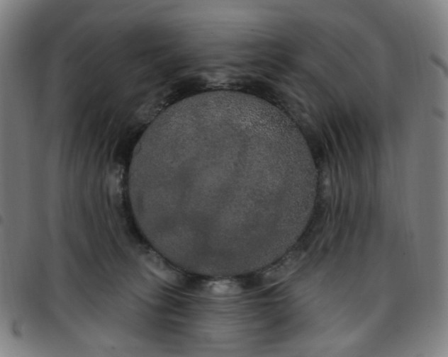 X0000097510275200803071831