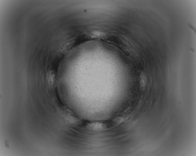 X0000097510276200803071831