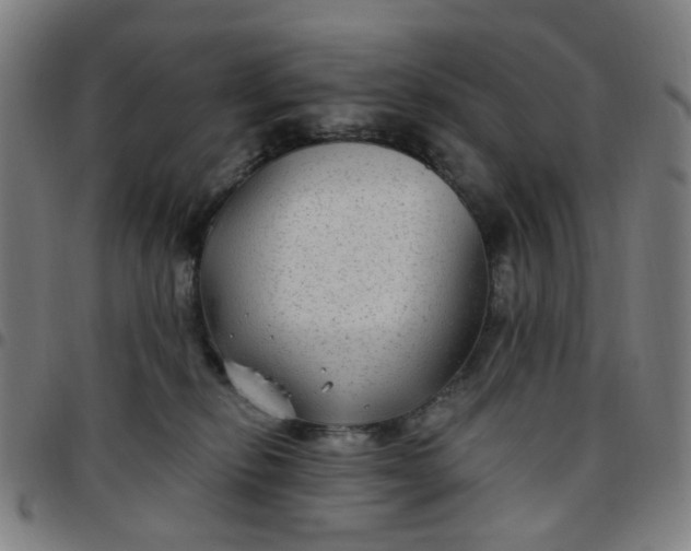 X0000097510278200803071831