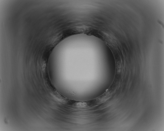 X0000097510279200803071831