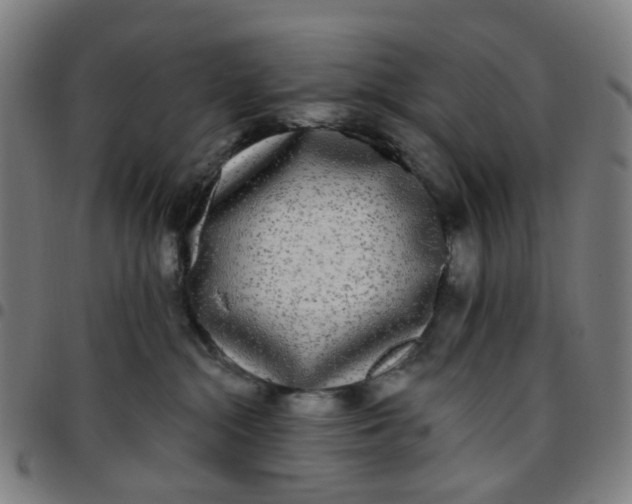 X0000097510284200803071831