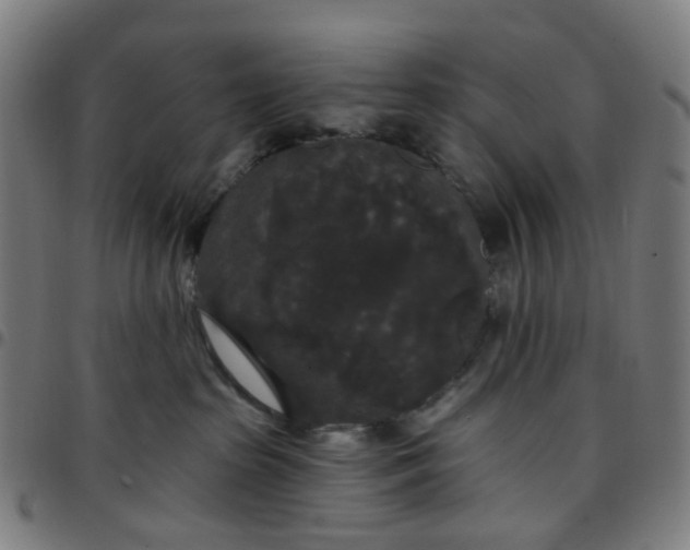 X0000097510285200803071831