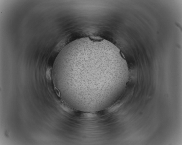 X0000097510286200803071831