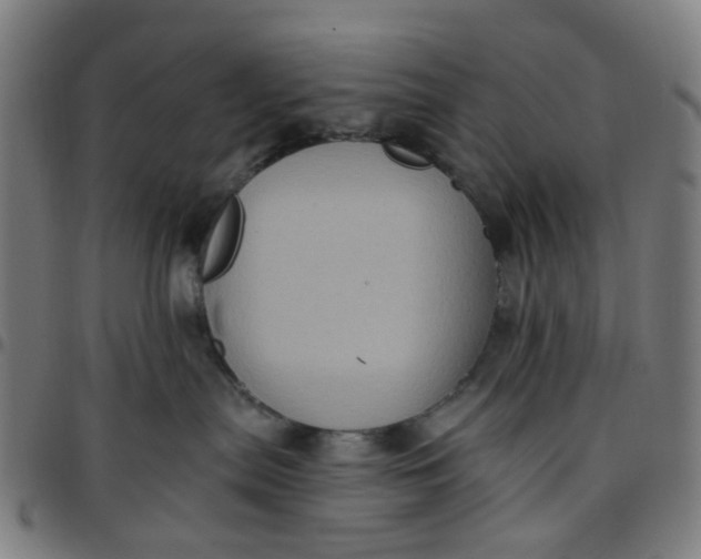 X0000097510287200803071831