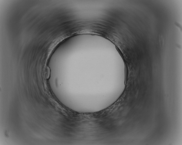 X0000097510289200803071831