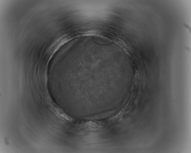 X0000097510290200803071831