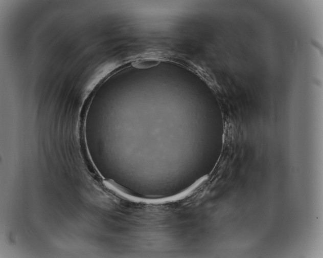 X0000097510292200803071831