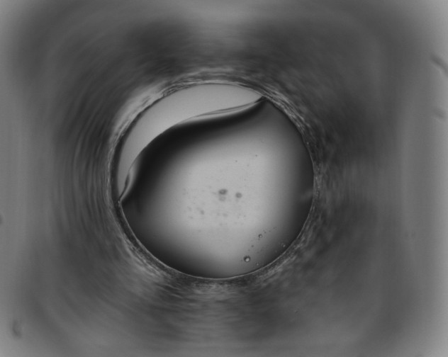 X0000097510293200803071831