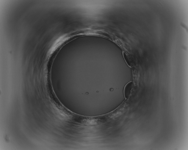 X0000097510295200803071831