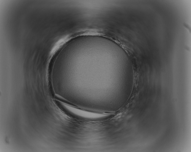 X0000097510296200803071831