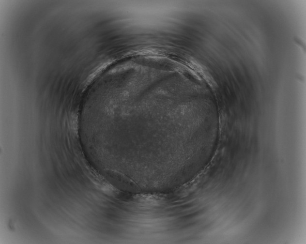 X0000097510297200803071831