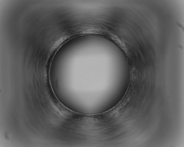 X0000097510298200803071831