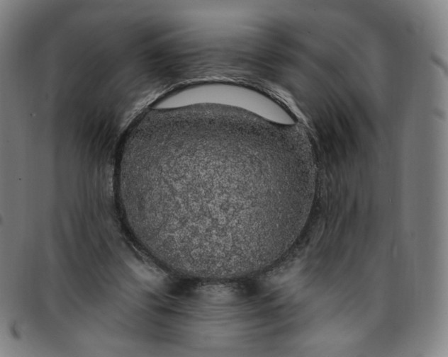 X0000097510299200803071831