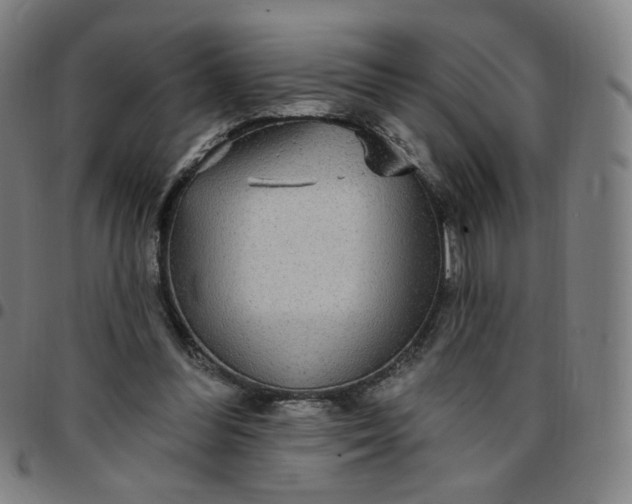 X0000097510300200803071831