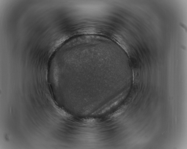 X0000097510301200803071831