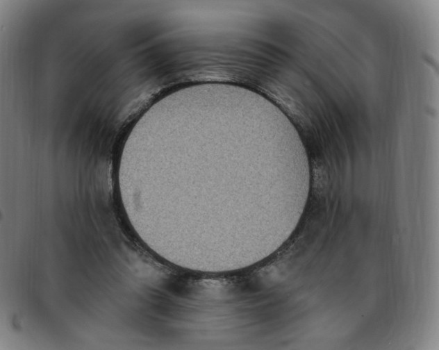 X0000097510302200803071830