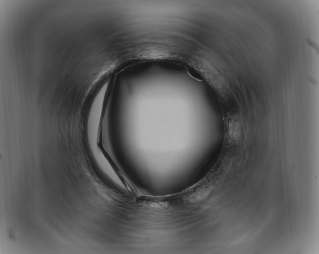 X0000097510304200803071830