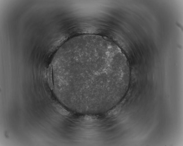 X0000097510305200803071830