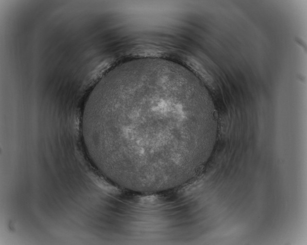 X0000097510309200803071830