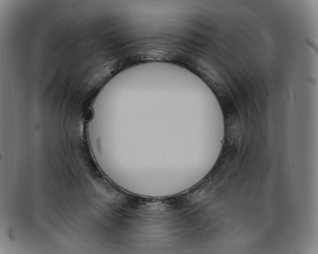 X0000097510310200803071830