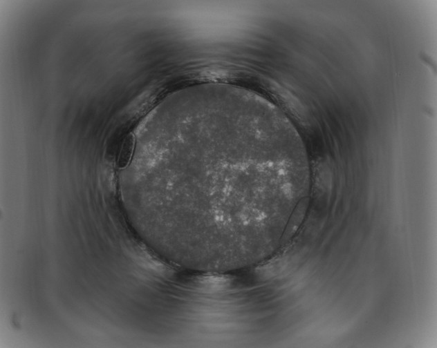 X0000097510313200803071830