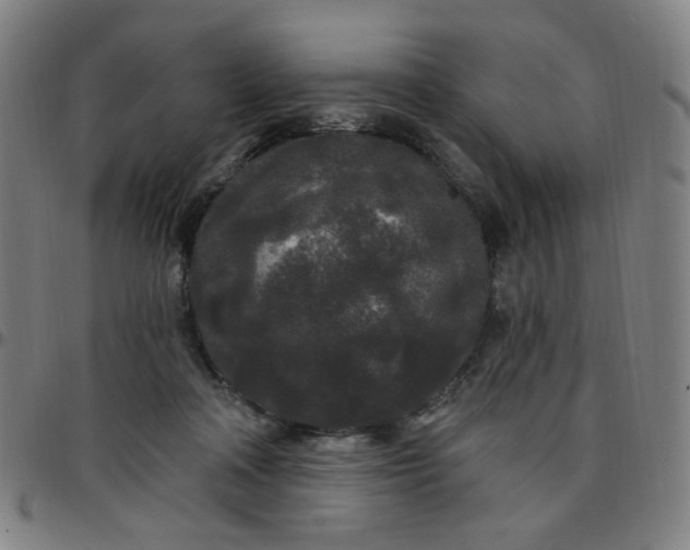 X0000097510314200803071830