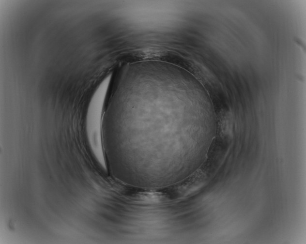 X0000097510316200803071830