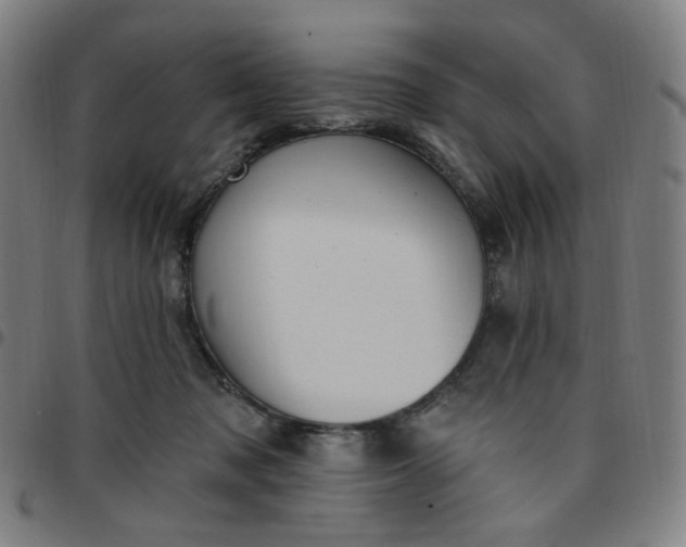 X0000097510317200803071830