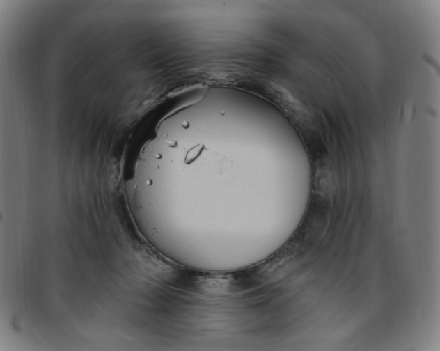 X0000097510318200803071830