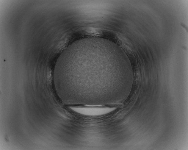 X0000097510320200803071830