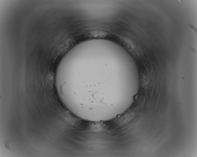 X0000097510321200803071830