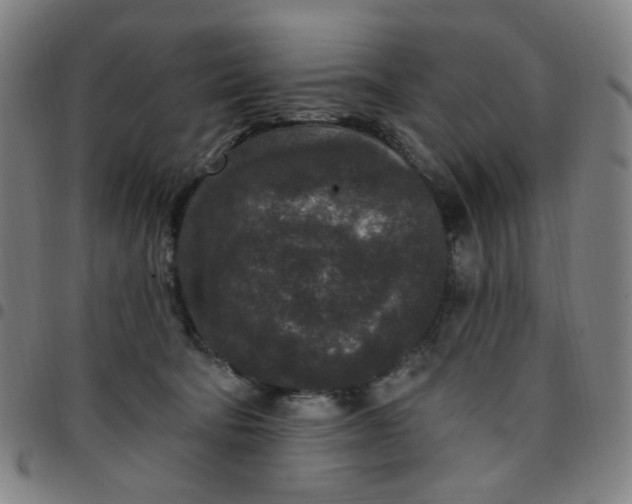 X0000097510322200803071830