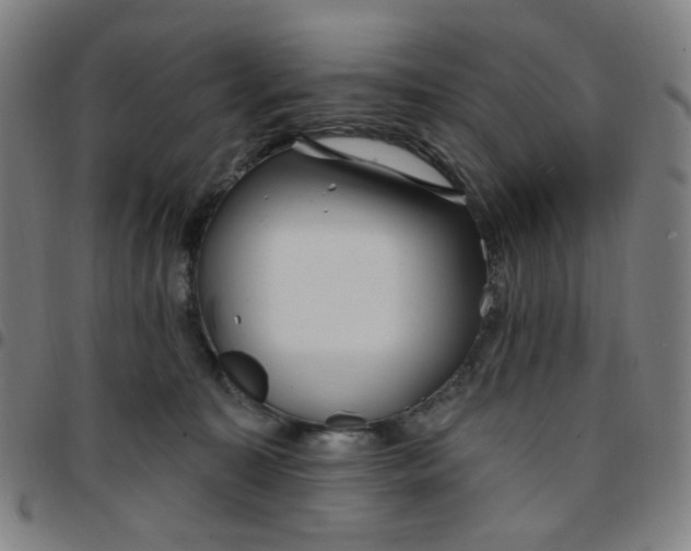 X0000097510323200803071830