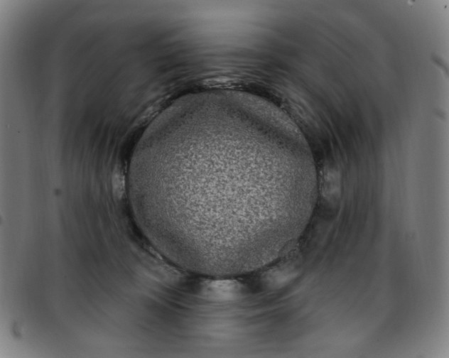 X0000097510324200803071830