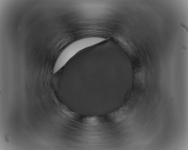 X0000097510325200803071830