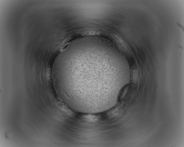 X0000097510326200803071830