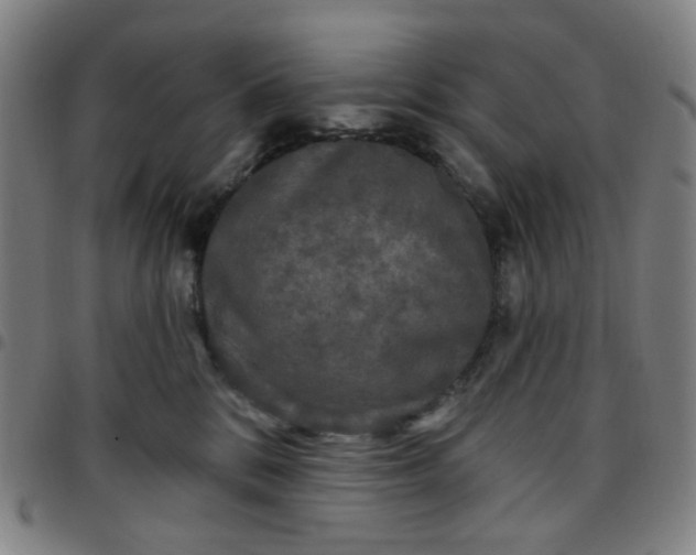 X0000097510328200803071830