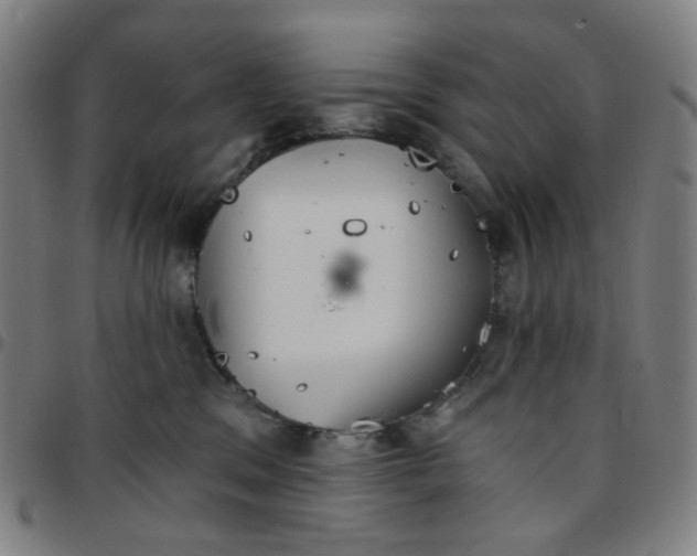 X0000097510329200803071830