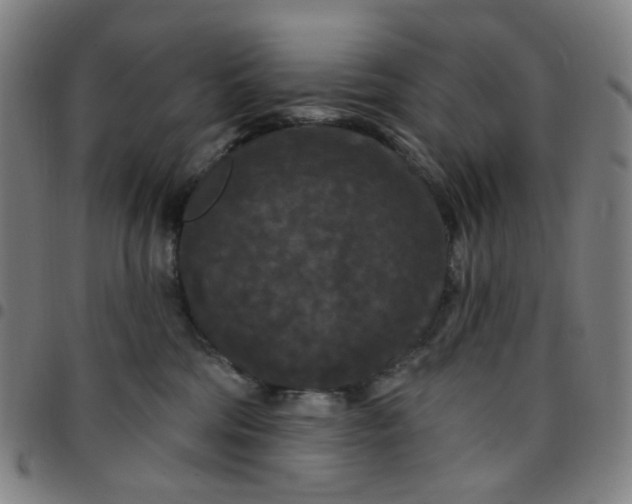 X0000097510330200803071830