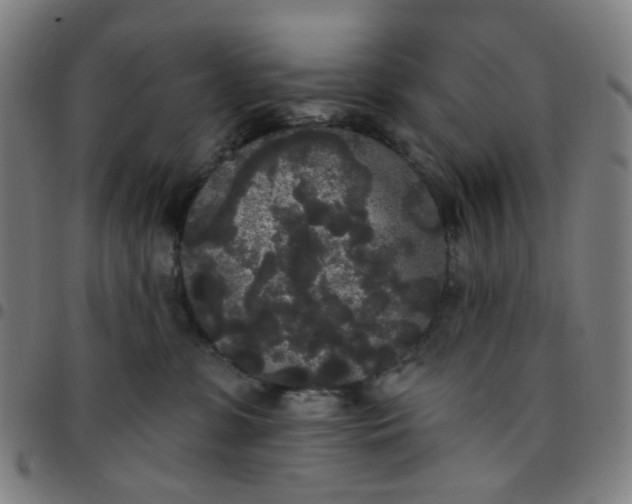 X0000097510331200803071830