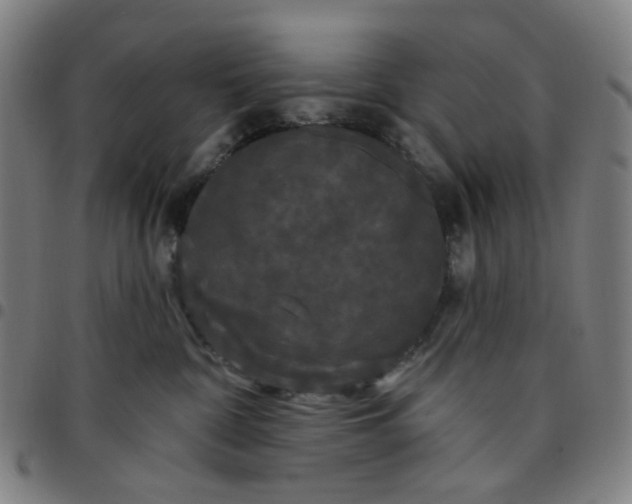 X0000097510332200803071830