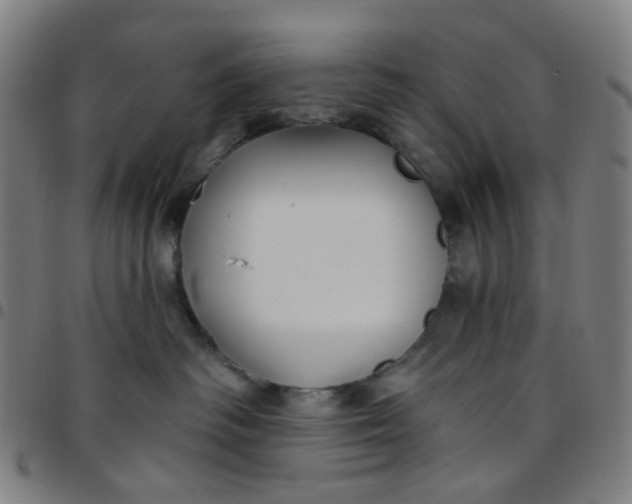 X0000097510334200803071830