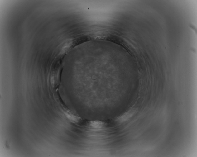 X0000097510336200803071830