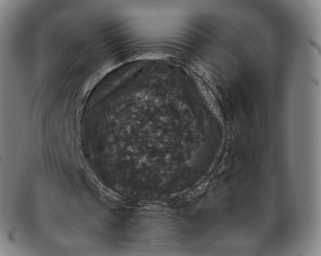 X0000097510337200803071829