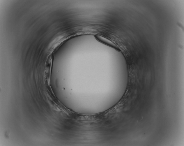 X0000097510338200803071829