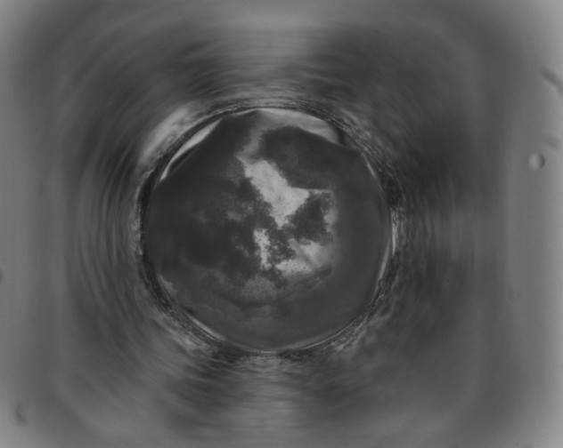 X0000097510339200803071829